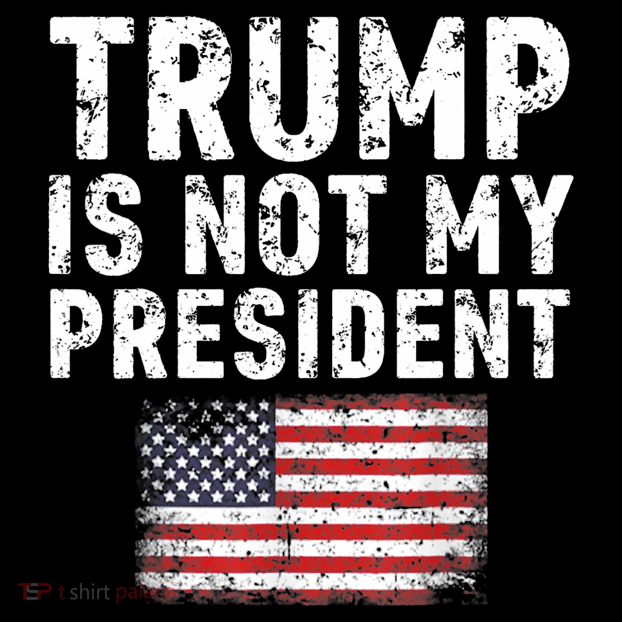 Trump Is Not My President Sweatshirt