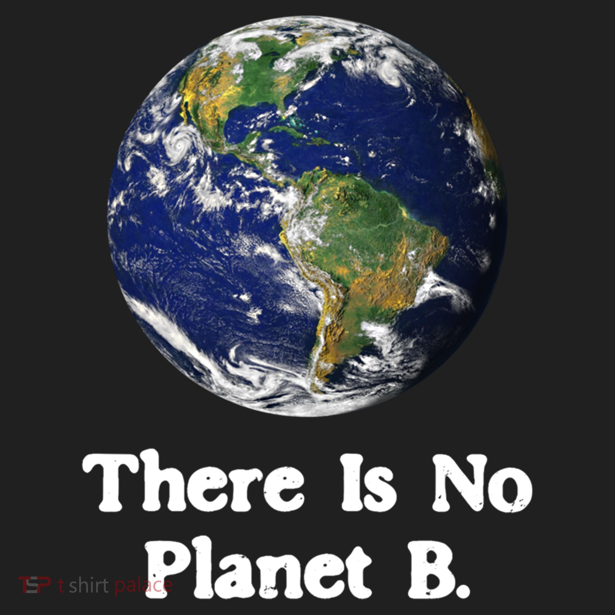 There Is No Planet B Climate Change Earth Day Gift Women's Sweatshirt