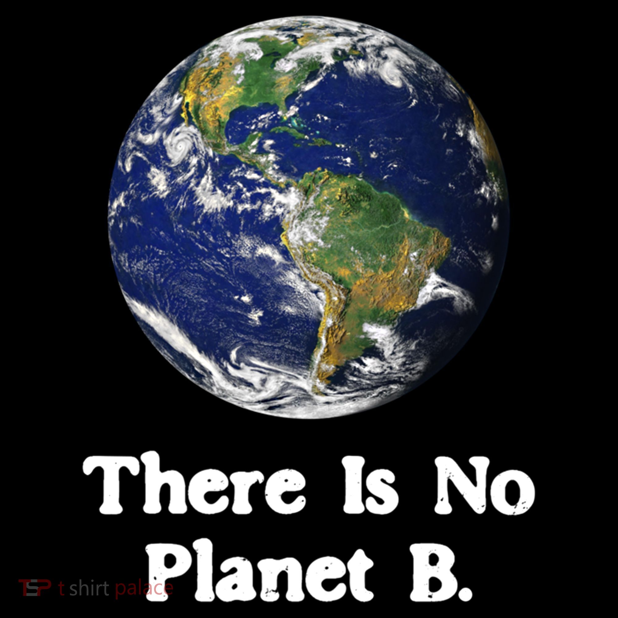 There Is No Planet B Climate Change Earth Day Gift Women's Hoodie