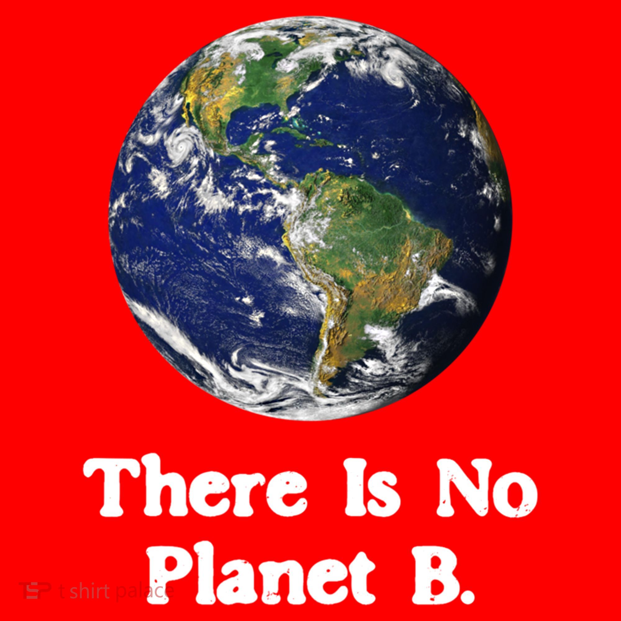 There Is No Planet B Climate Change Earth Day Gift Santa Hat