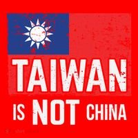 Taiwan Is Not China Support Independent Taipei Flag Gift Santa Hat thumb 1
