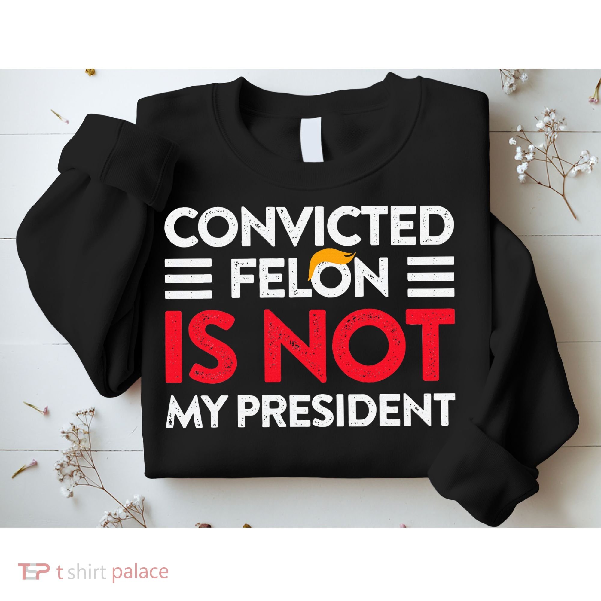 Trump Is Not My President Convicted Felon Not My President Sweatshirt