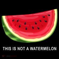 This Is Not A Watermelon Funny Backpack thumb 2