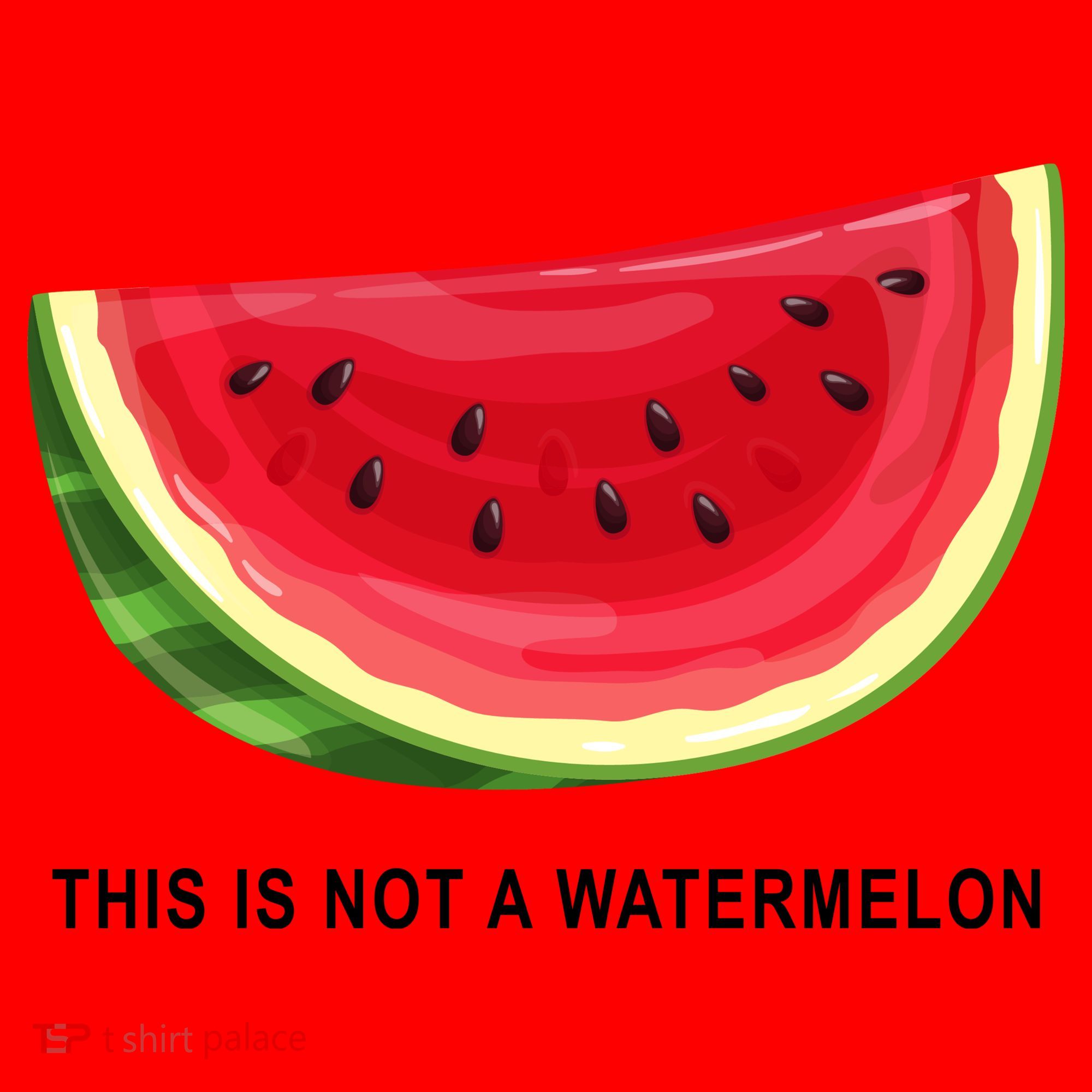 This Is Not A Watermelon Funny Santa Hat