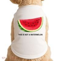 This Is Not A Watermelon Funny Doggie Tank thumb 0
