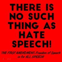 There Is No Such Thing As Hate Speech Santa Hat thumb 1