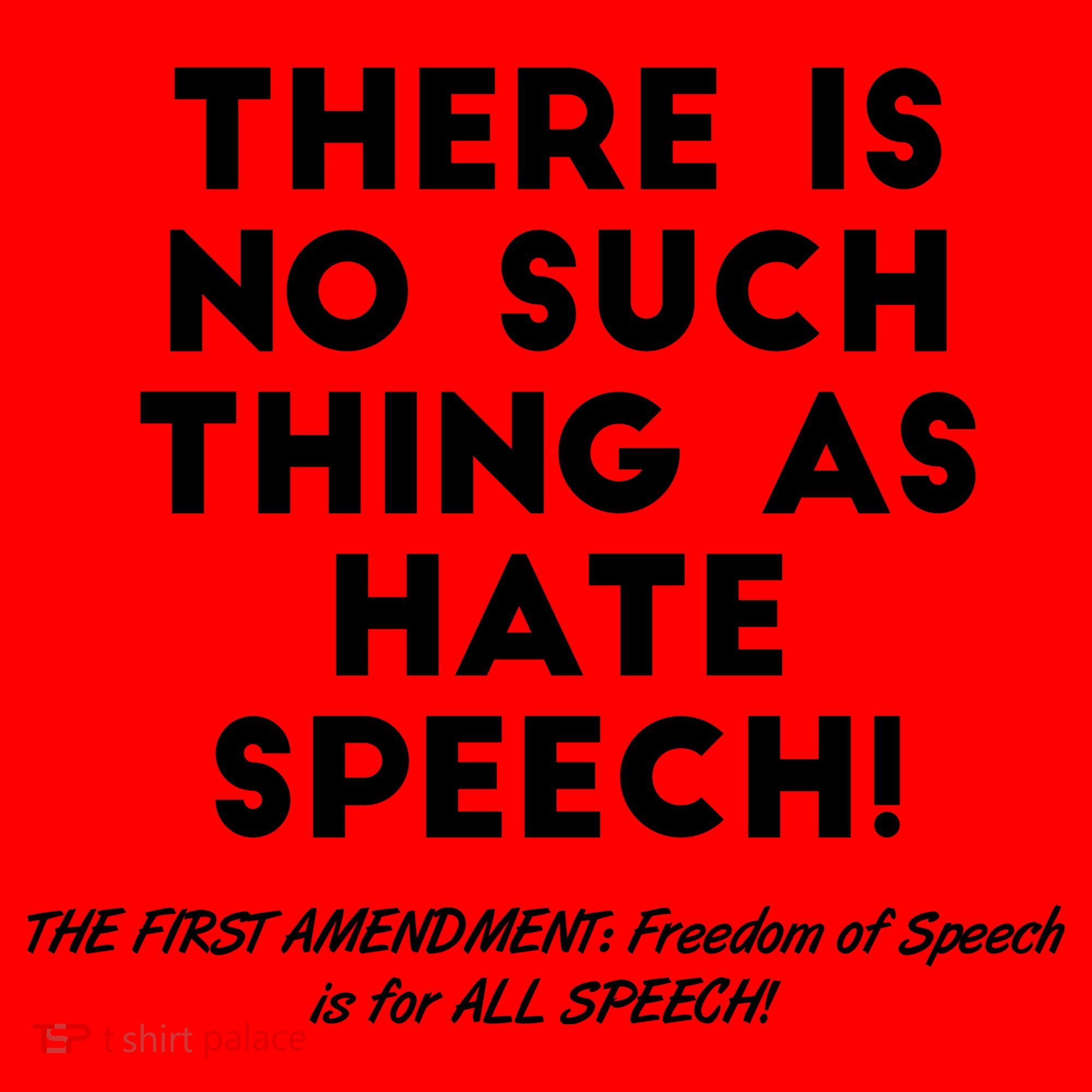 There Is No Such Thing As Hate Speech Santa Hat