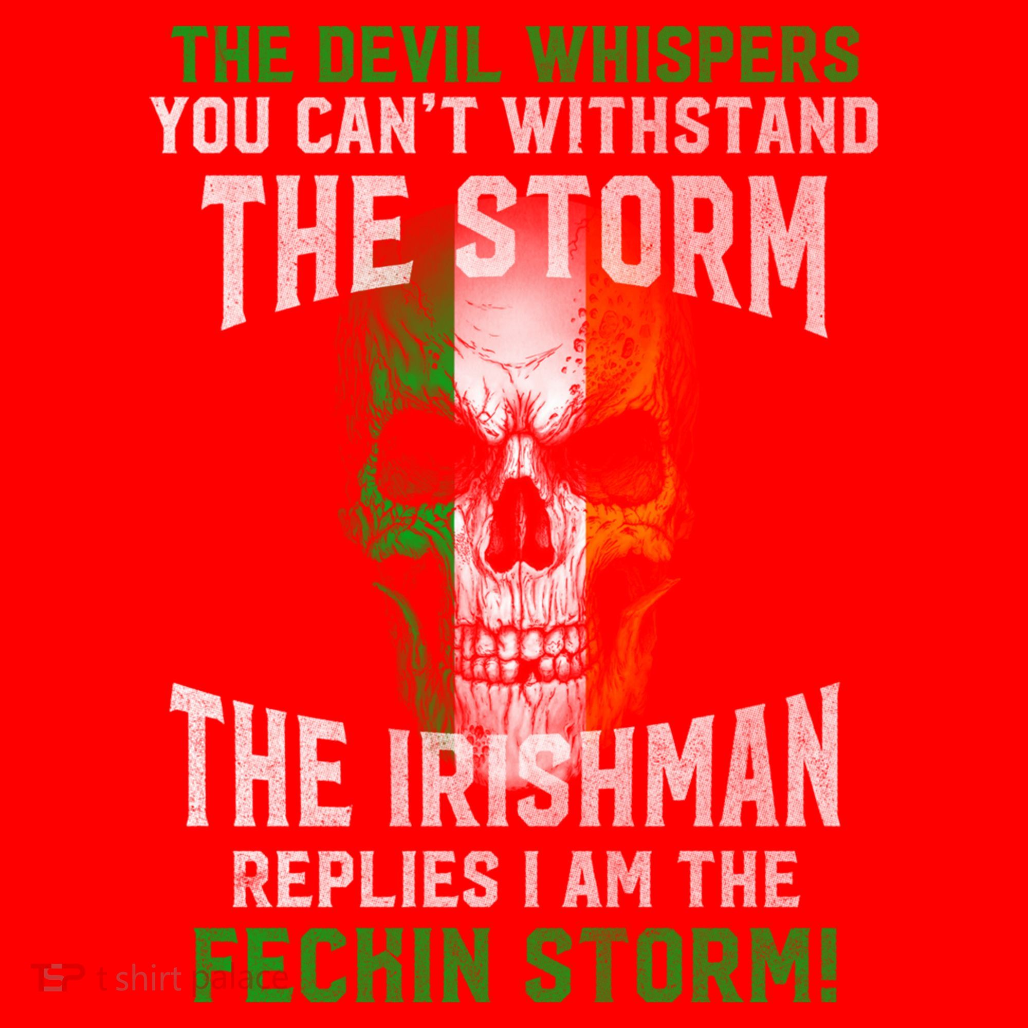 The Irish Storm Proud Irish American Cute Gift Santa Hat