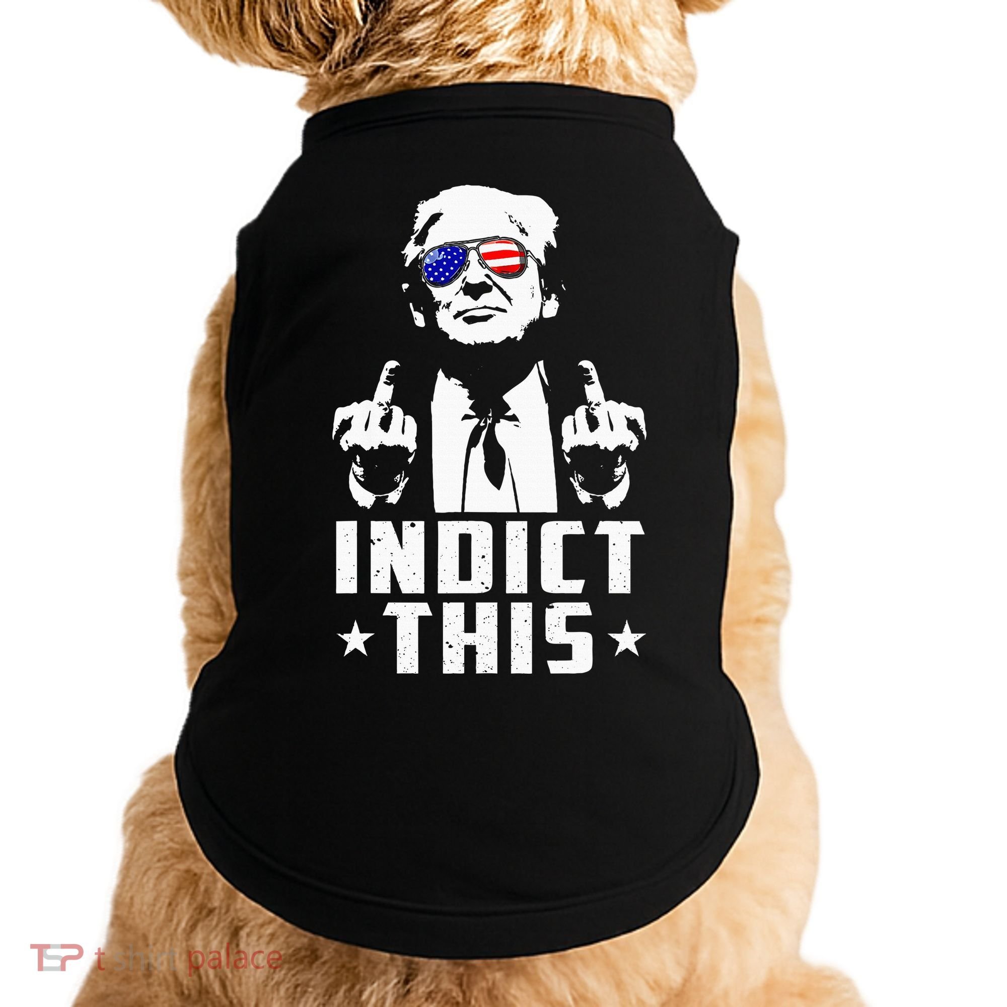 Trump Indict This Political Arrest For Republican Doggie Tank