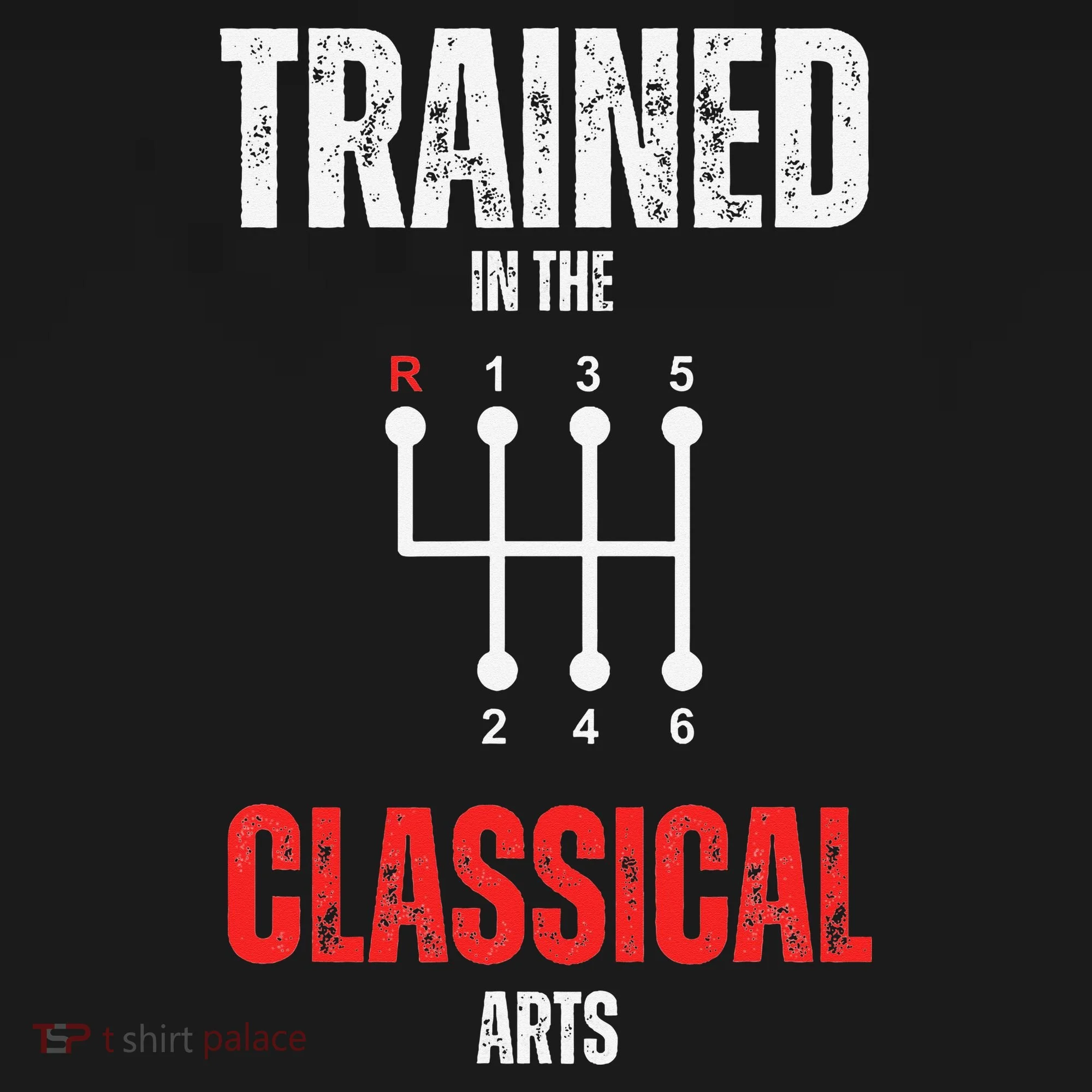 Trained In The Classical Arts Funny Manual Transmission Car Ornament