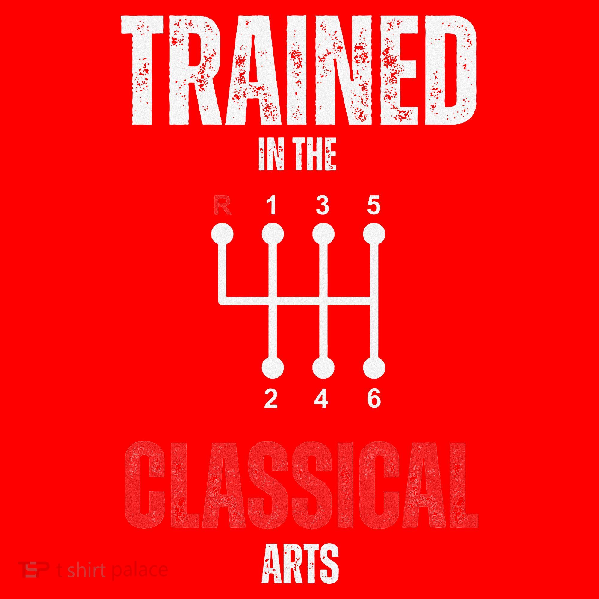 Trained In The Classical Arts Funny Manual Transmission Car Santa Hat