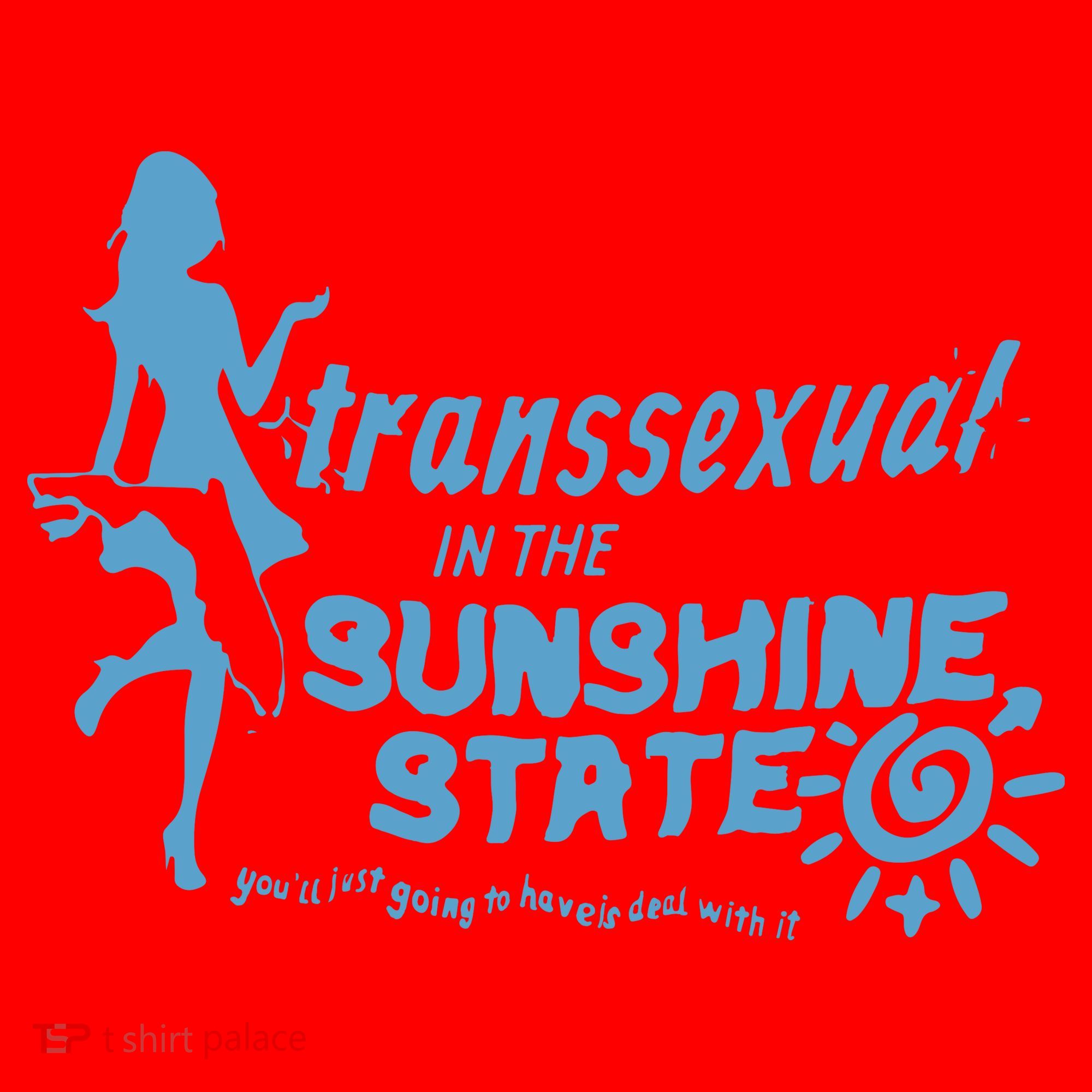Transsexual In The Sunshine State Santa Hat