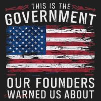 This Is The Government Our Founders Warned Us About Patriot Beanie thumb 2