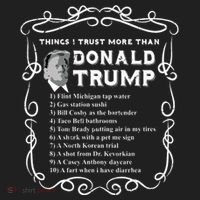 Things I Trust More Than Donald Trump Anti Potus Vote Blue Hat thumb 2
