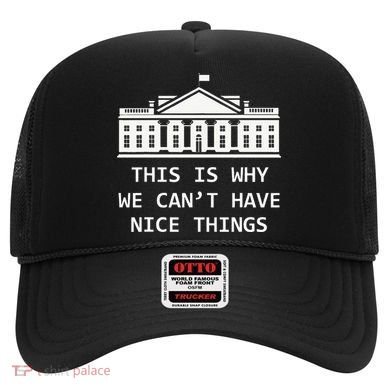 This Is Why We CanT Have Nice Things Freedom Libertarian Hat