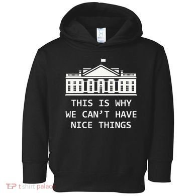 This Is Why We CanT Have Nice Things Freedom Libertarian Toddler Hoodie