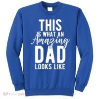 This Is What An Amazing Dad Looks Like Gift Sweatshirt thumb 0
