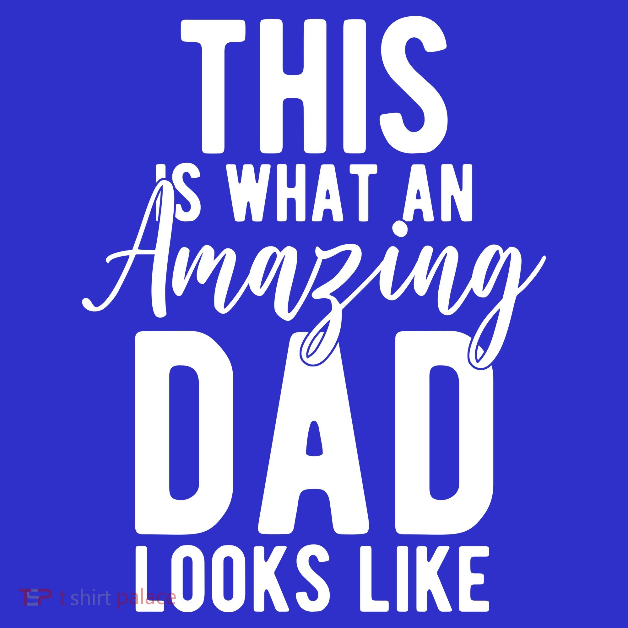 This Is What An Amazing Dad Looks Like Gift Tumbler