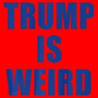 Trump Is Weird Premium Santa Hat thumb 1