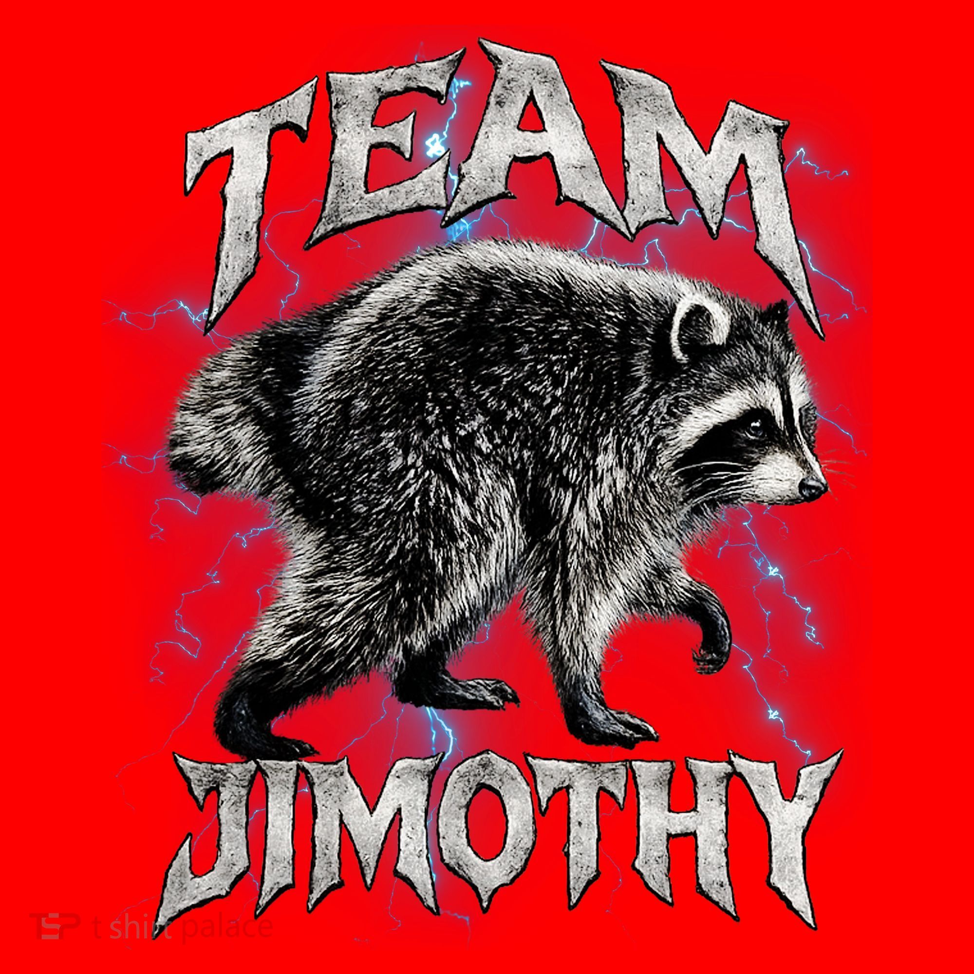 Team JIMOTHY Funny Raccoon Meme Santa Hat
