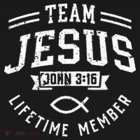 Team Jesus John 316 Lifetime Member God Christian Gift Hoodie thumb 2