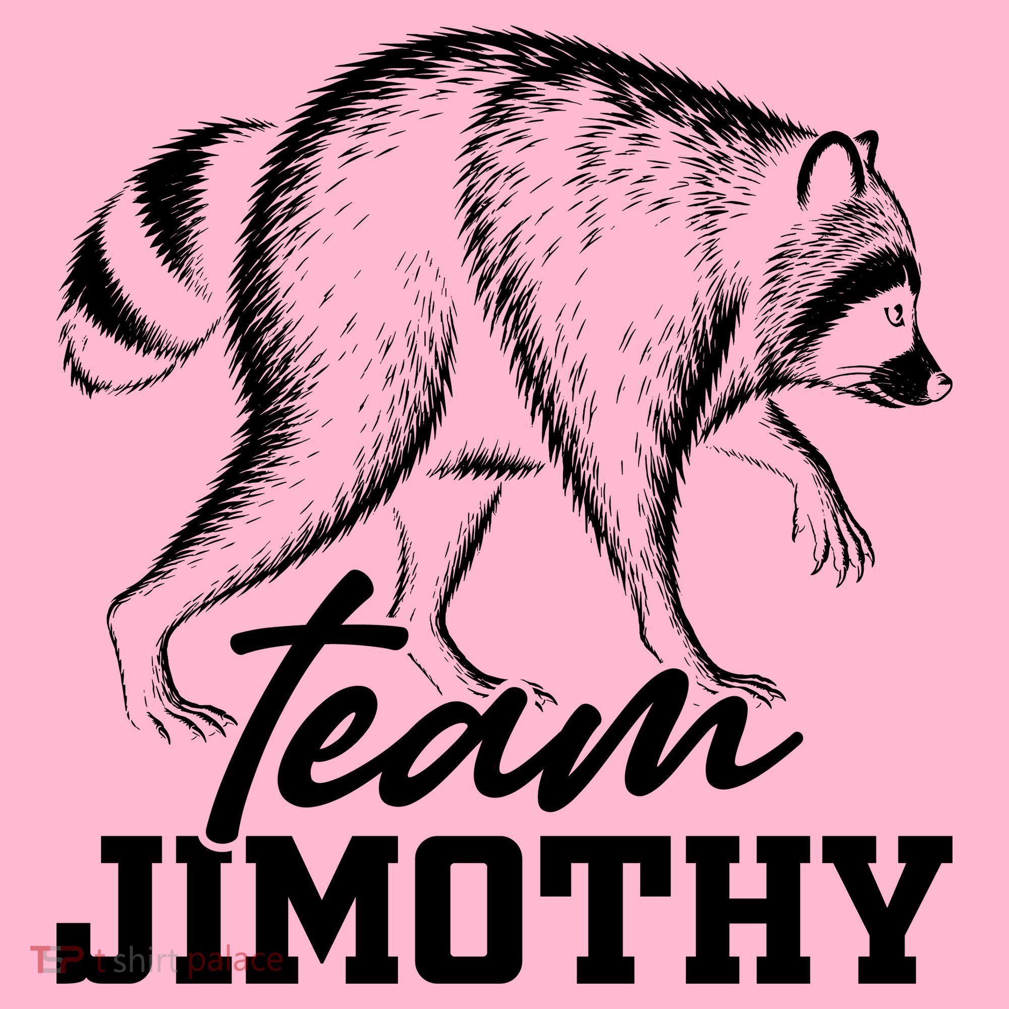 Team Jimothy Raccoon Coaster