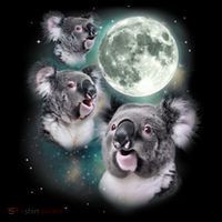 Three Koala Moon Cute Quirky Meme Howling Wildlife Koala Coffee Mug thumb 5