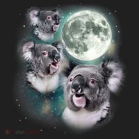 Three Koala Moon Cute Quirky Meme Howling Wildlife Koala Hat thumb 2