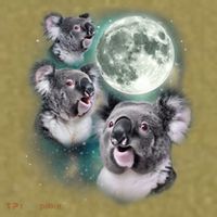 Three Koala Moon Cute Quirky Meme Howling Wildlife Koala Garment-Dyed Women's Muscle Tee thumb 6