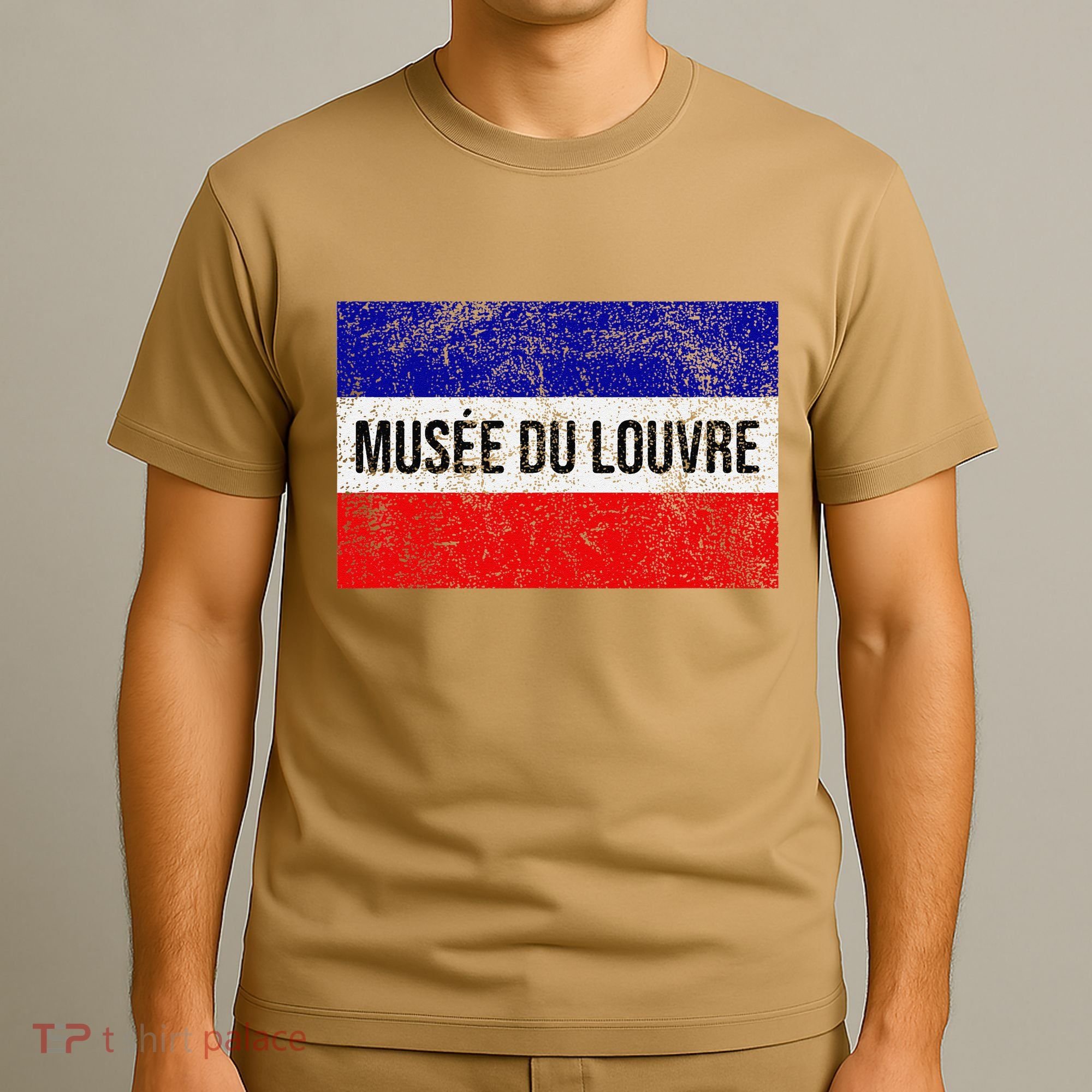 The Louvre Art Museum French Flag French Flag Distressed T-Shirt
