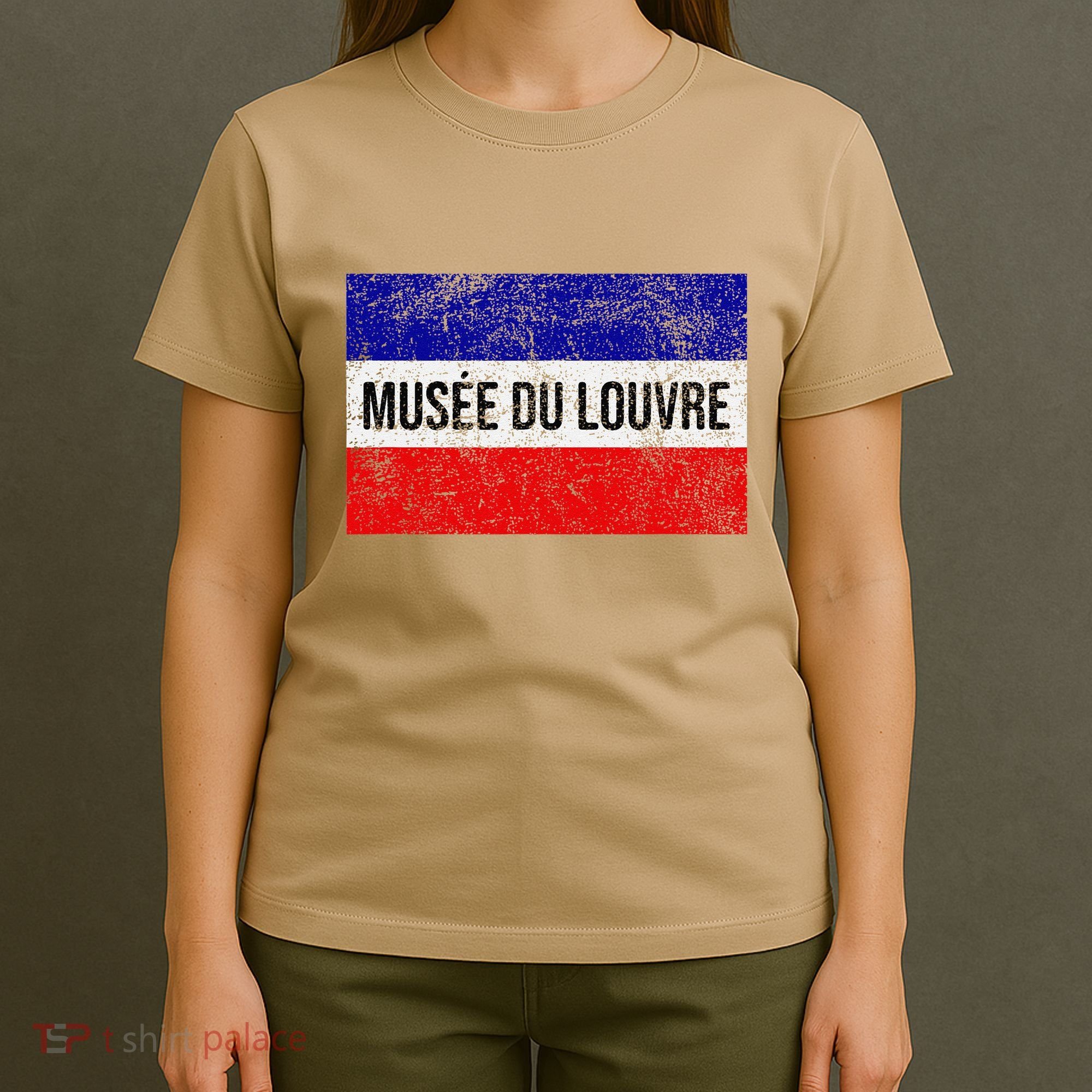 The Louvre Art Museum French Flag French Flag Distressed T-Shirt