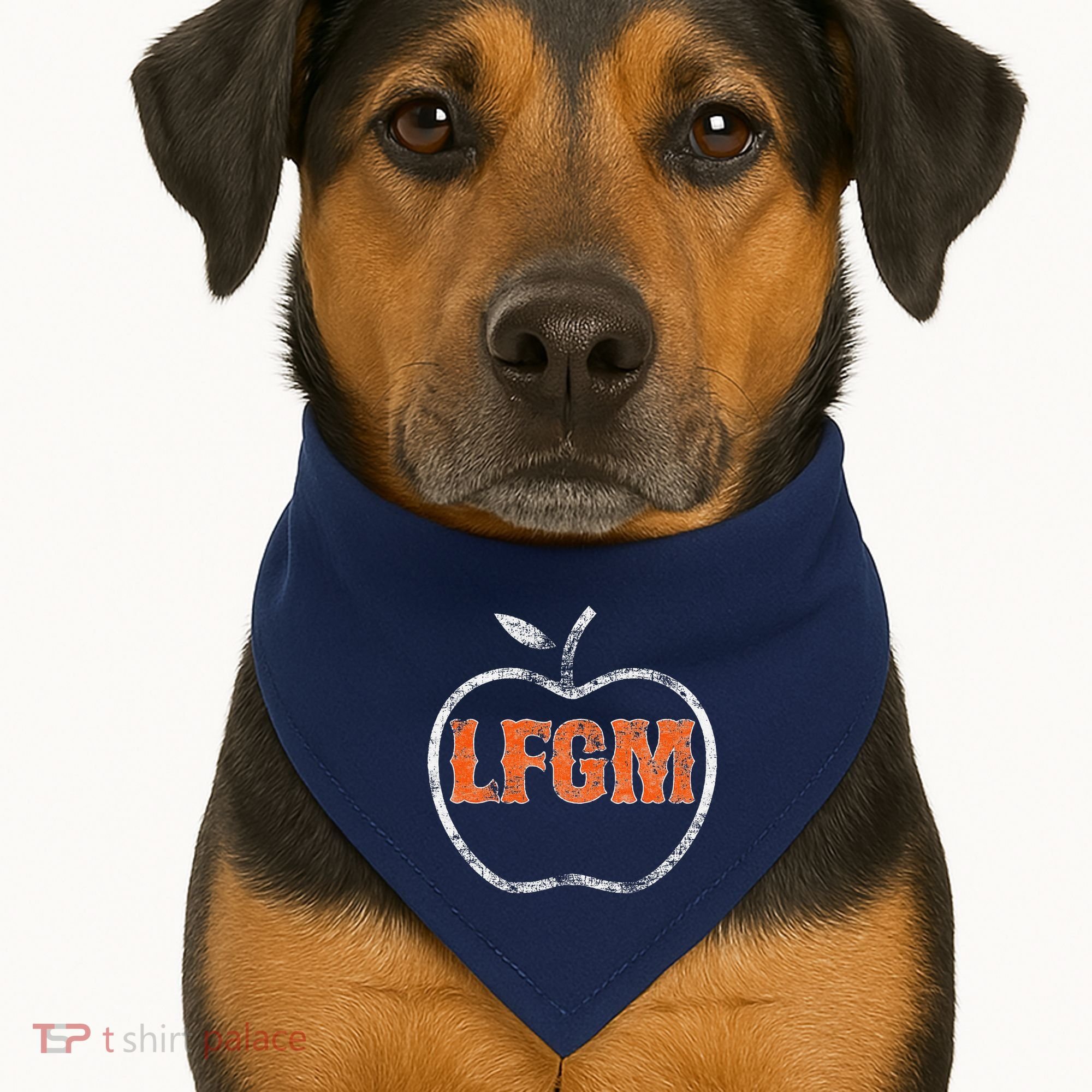 The Lfgm Baseball USA-Made Doggie Bandana