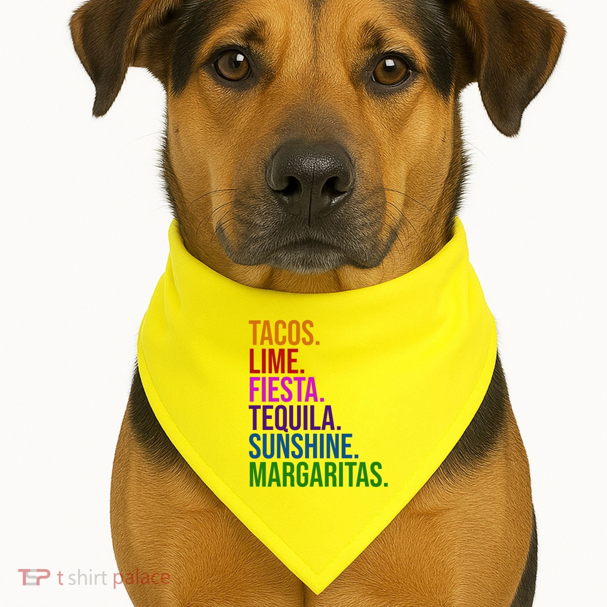 Tacos Lime Fiesta Tequila Sunshine Margaritas Cindo De Mayo USA-Made Doggie Bandana