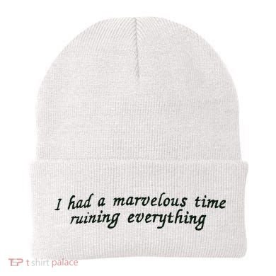 The Last Great American Dynasty Folklore Evermore Beanie
