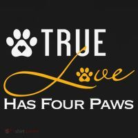 True Love Has Four Paws Funny Dogs Cats Valentine Gift Women's Hoodie thumb 2