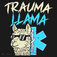 Trauma Llama K Funny Alpaca Llama Snake Kids Hoodie thumb 5