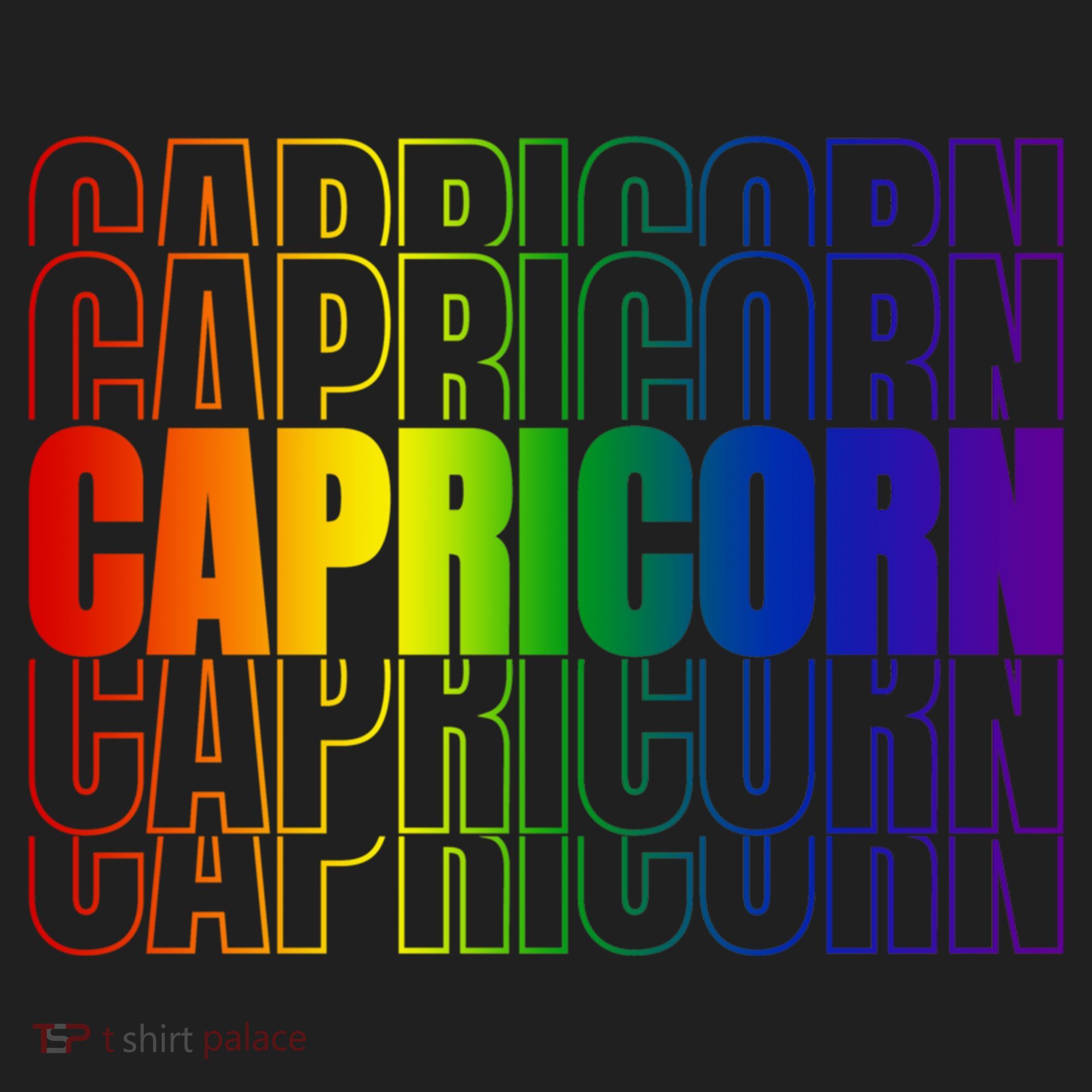 This Lgbtq Pride Zodiac Capricorn Great Gift Beanie