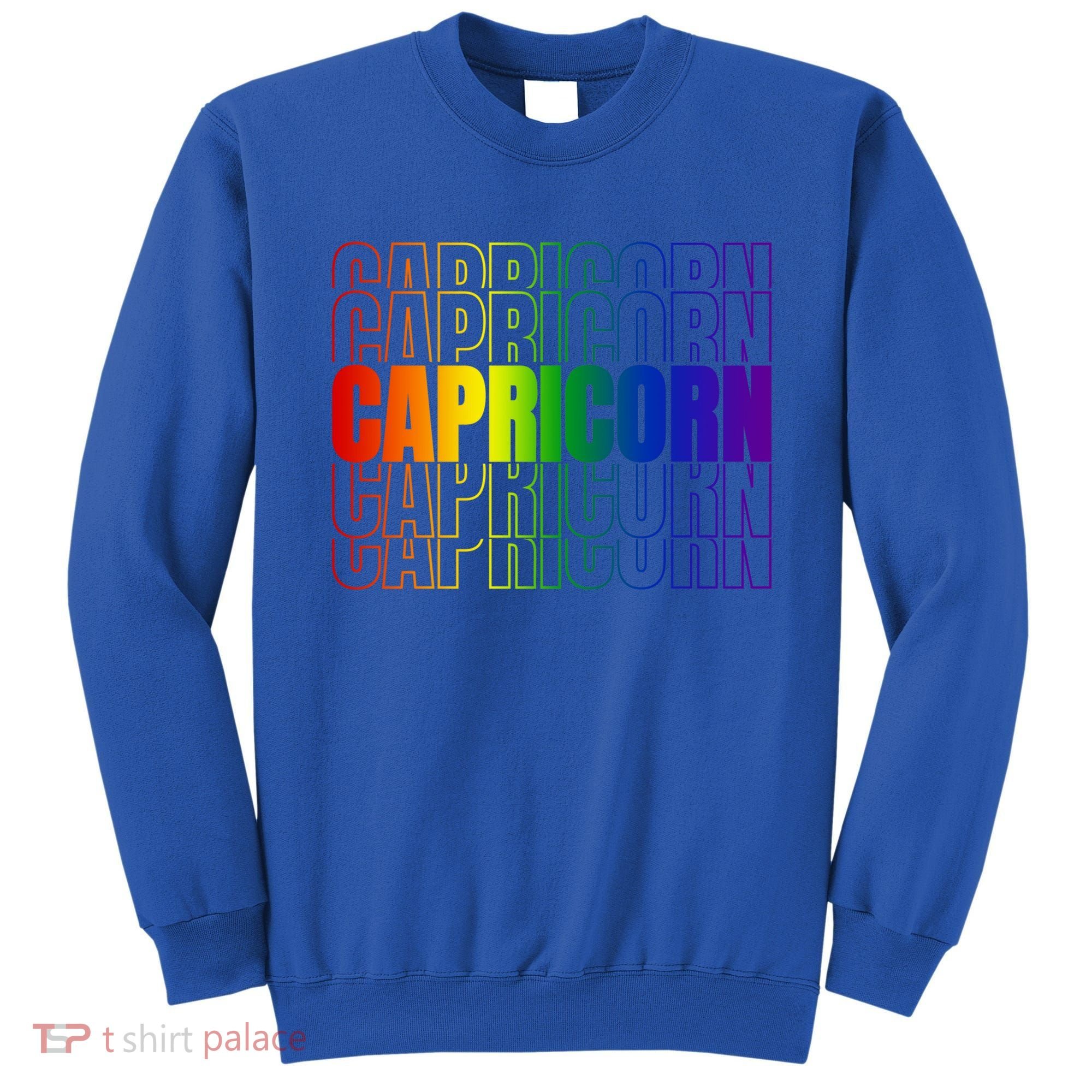 This Lgbtq Pride Zodiac Capricorn Great Gift Sweatshirt