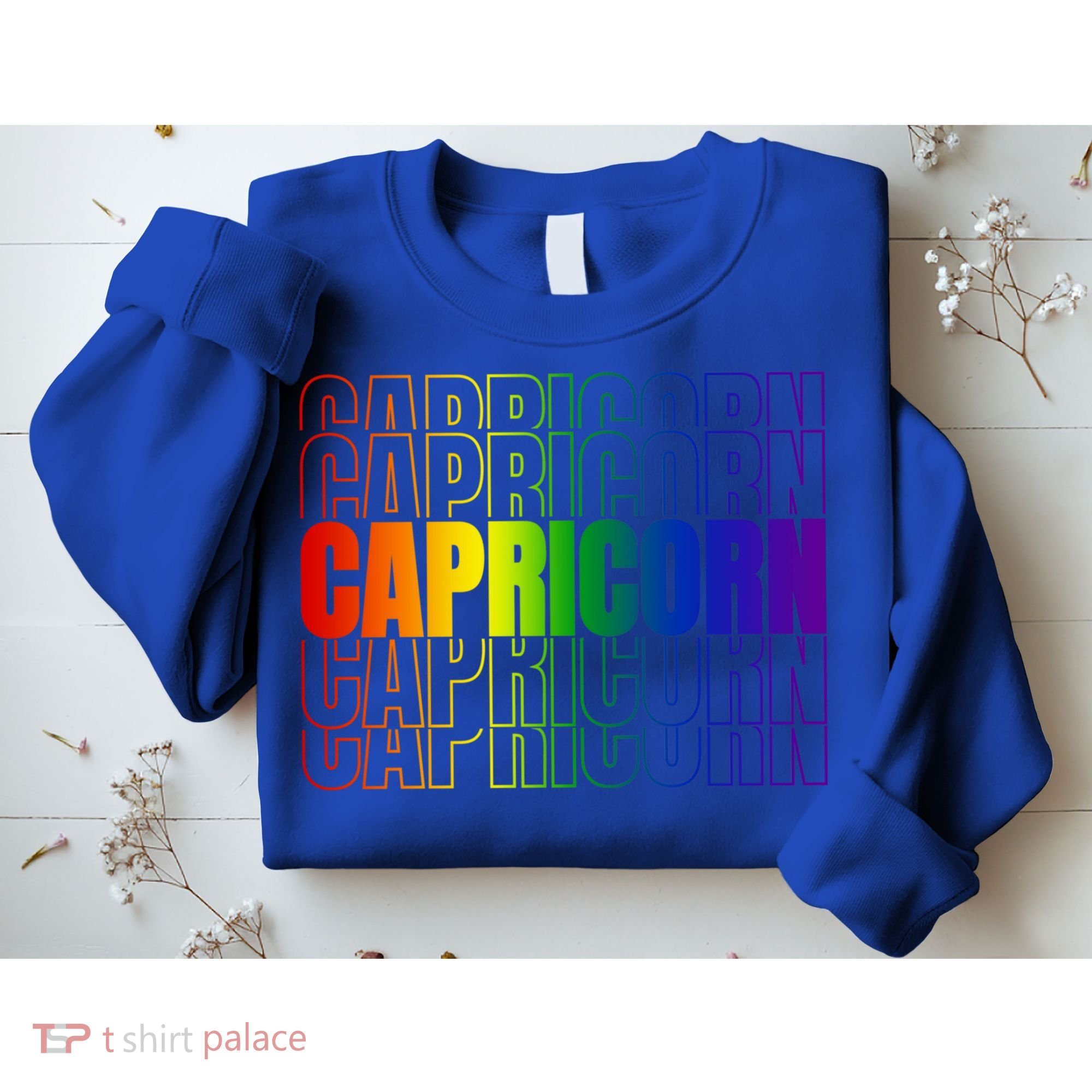 This Lgbtq Pride Zodiac Capricorn Great Gift Sweatshirt