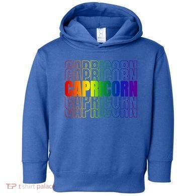 This Lgbtq Pride Zodiac Capricorn Great Gift Toddler Hoodie