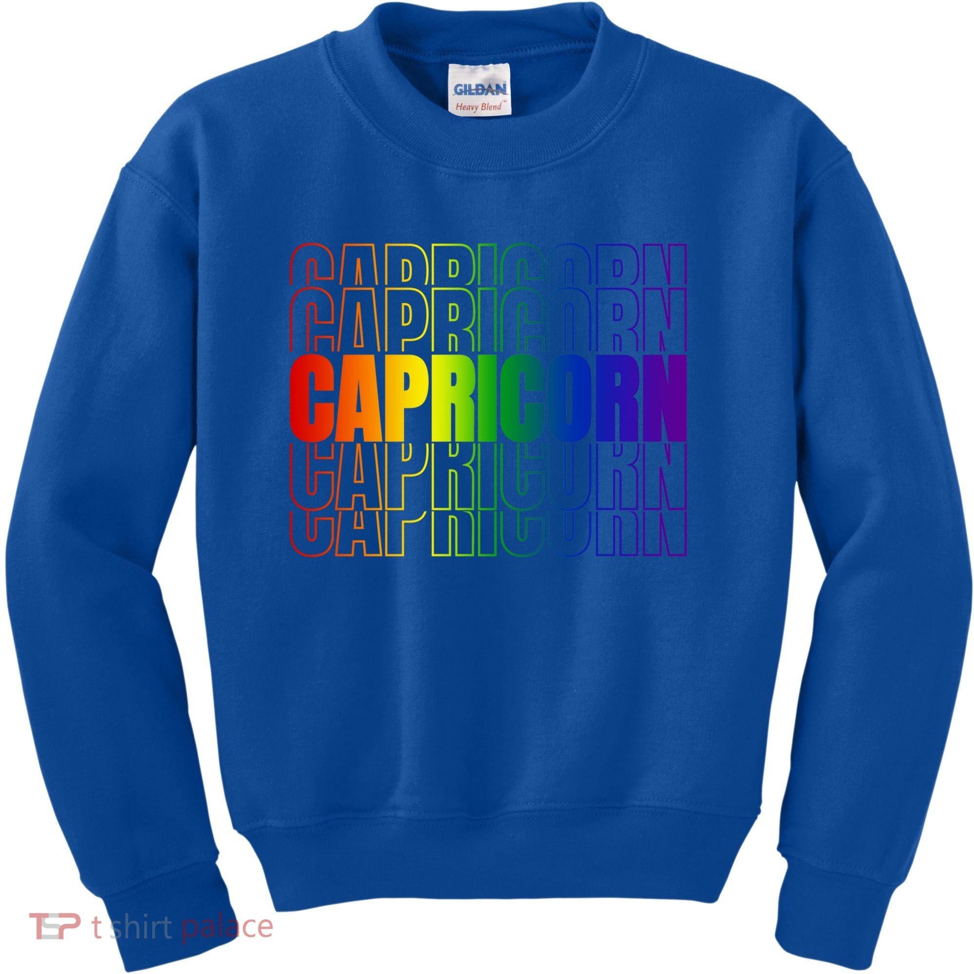 This Lgbtq Pride Zodiac Capricorn Great Gift Kids Sweatshirt
