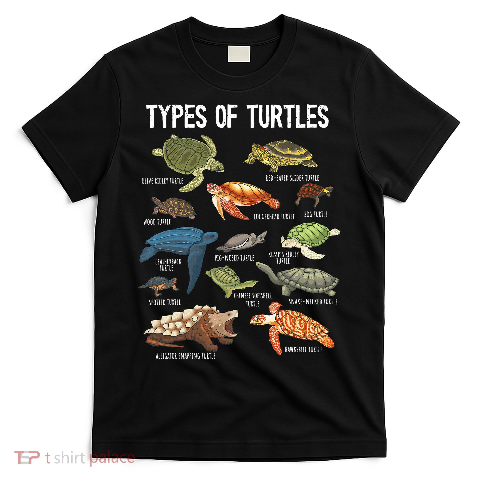 Turtle Lover Reptile Pet Turtle Types Of Turtles T-Shirt