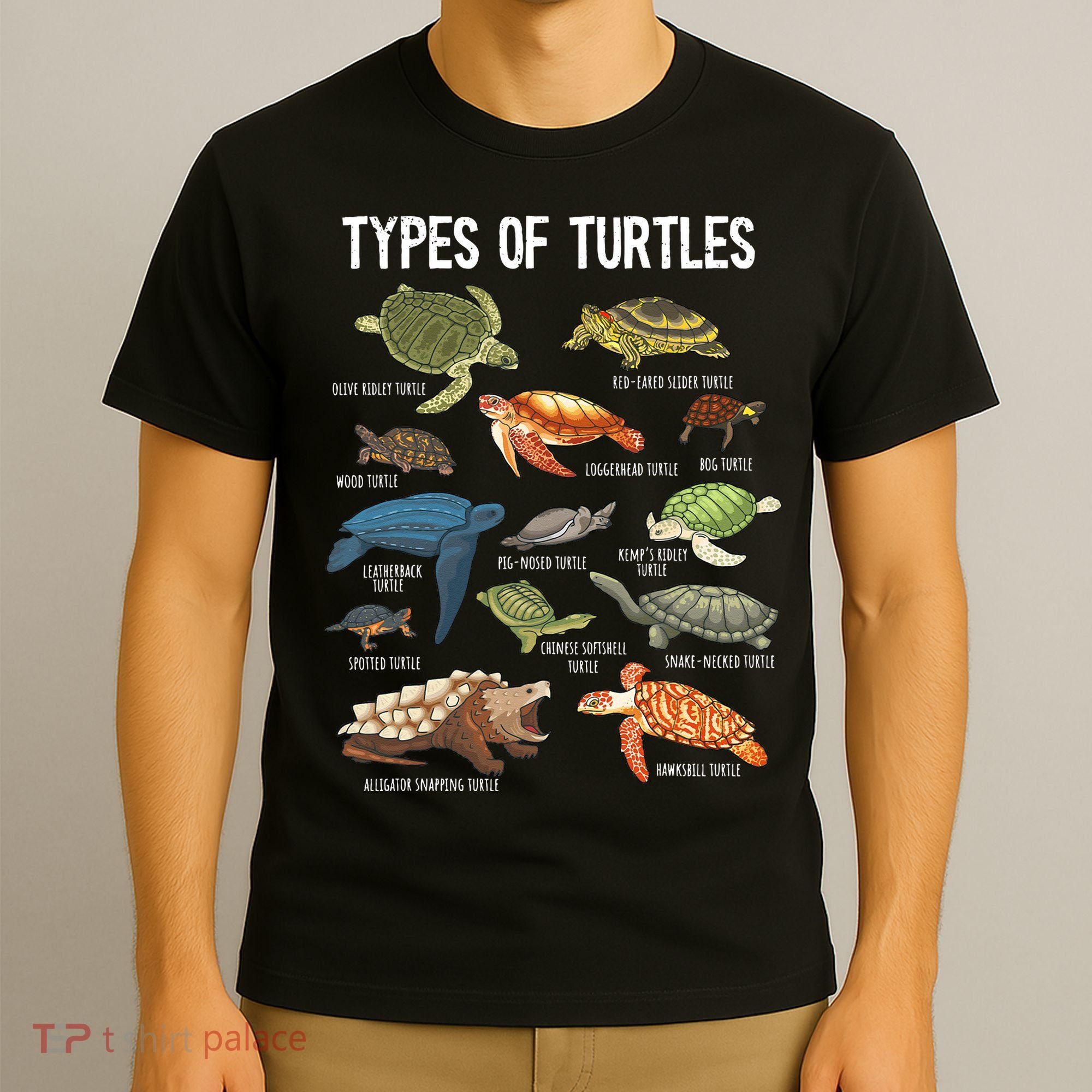 Turtle Lover Reptile Pet Turtle Types Of Turtles T-Shirt