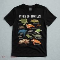 Turtle Lover Reptile Pet Turtle Types Of Turtles T-Shirt thumb 5