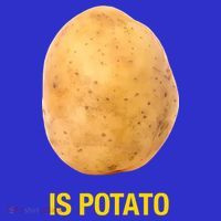 Is Potato Funny Coaster thumb 2