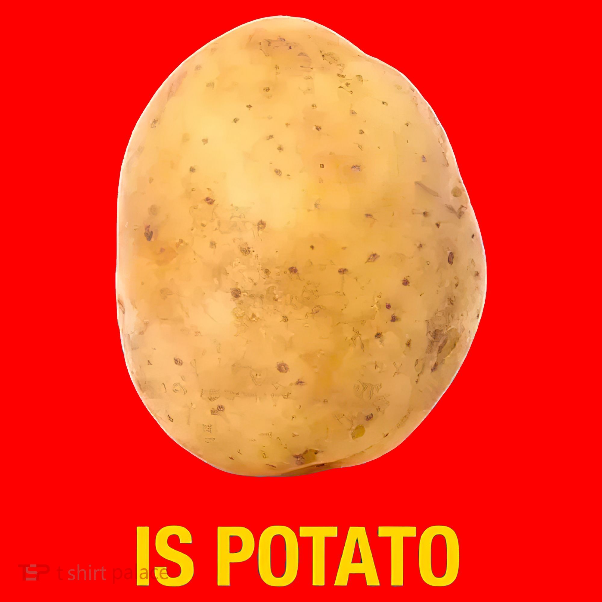 Is Potato Funny Santa Hat