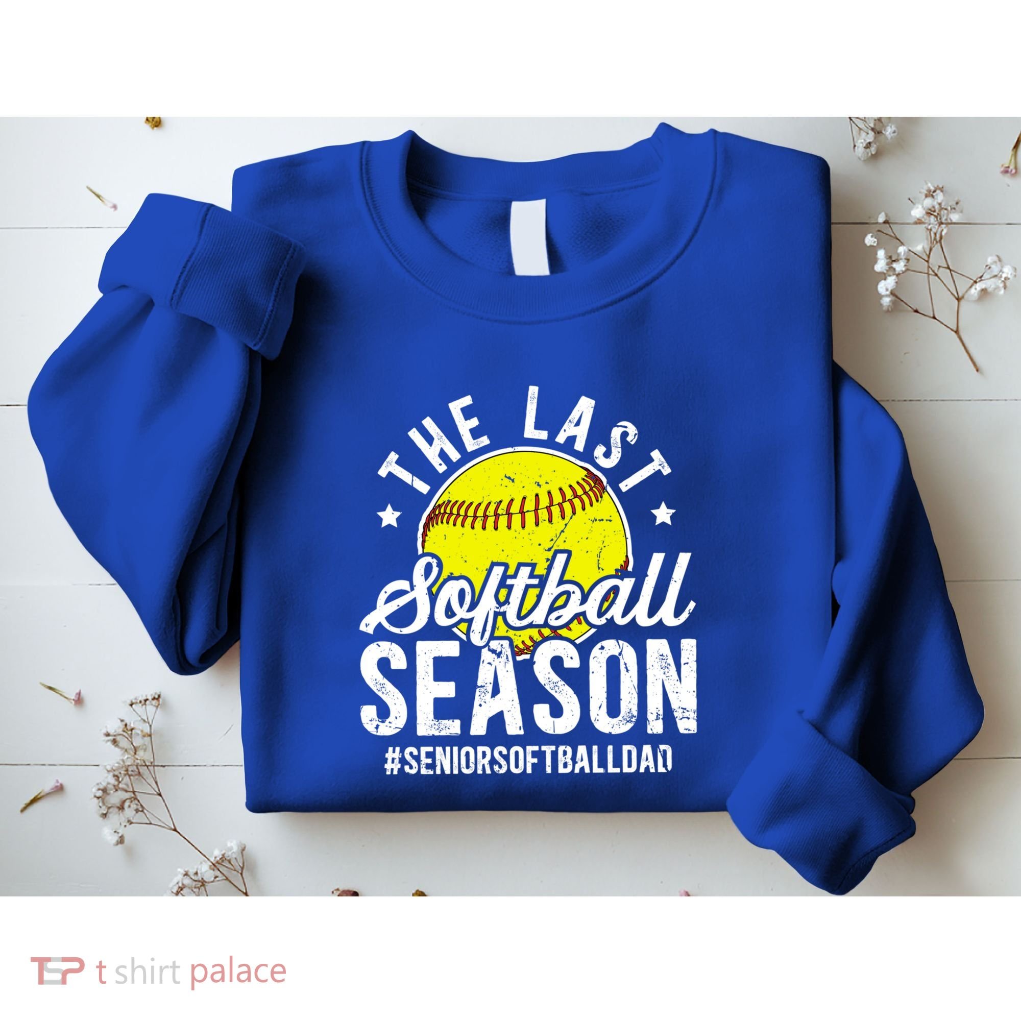 The Last Softball Season Softball Senior Dad 2026 Gift Sweatshirt