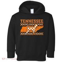 Tennessee Lovers Tennessee Souvenir Toddler Hoodie thumb 0