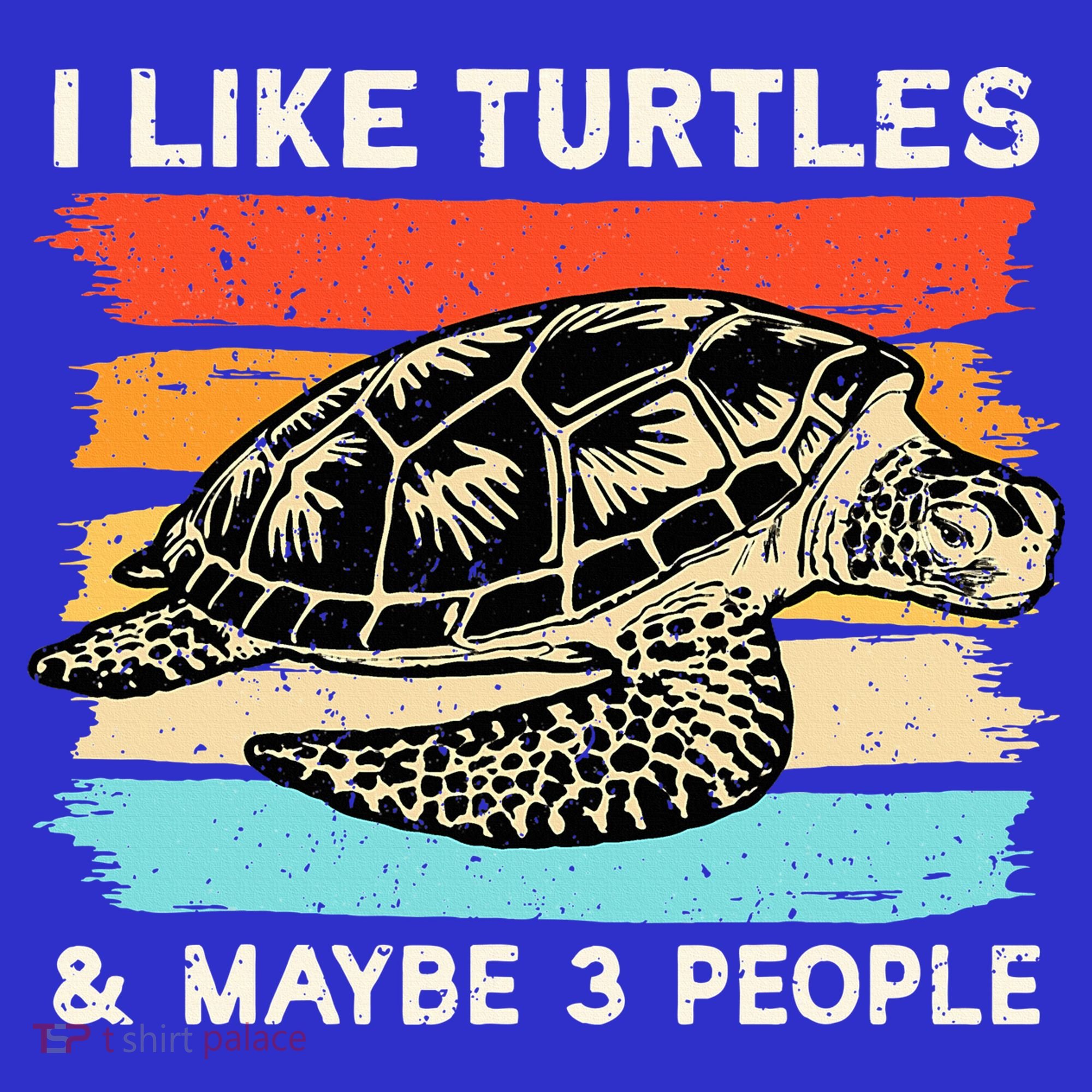 Turtle Lover, Turtle Art, Types Turtle, Turtle  Button