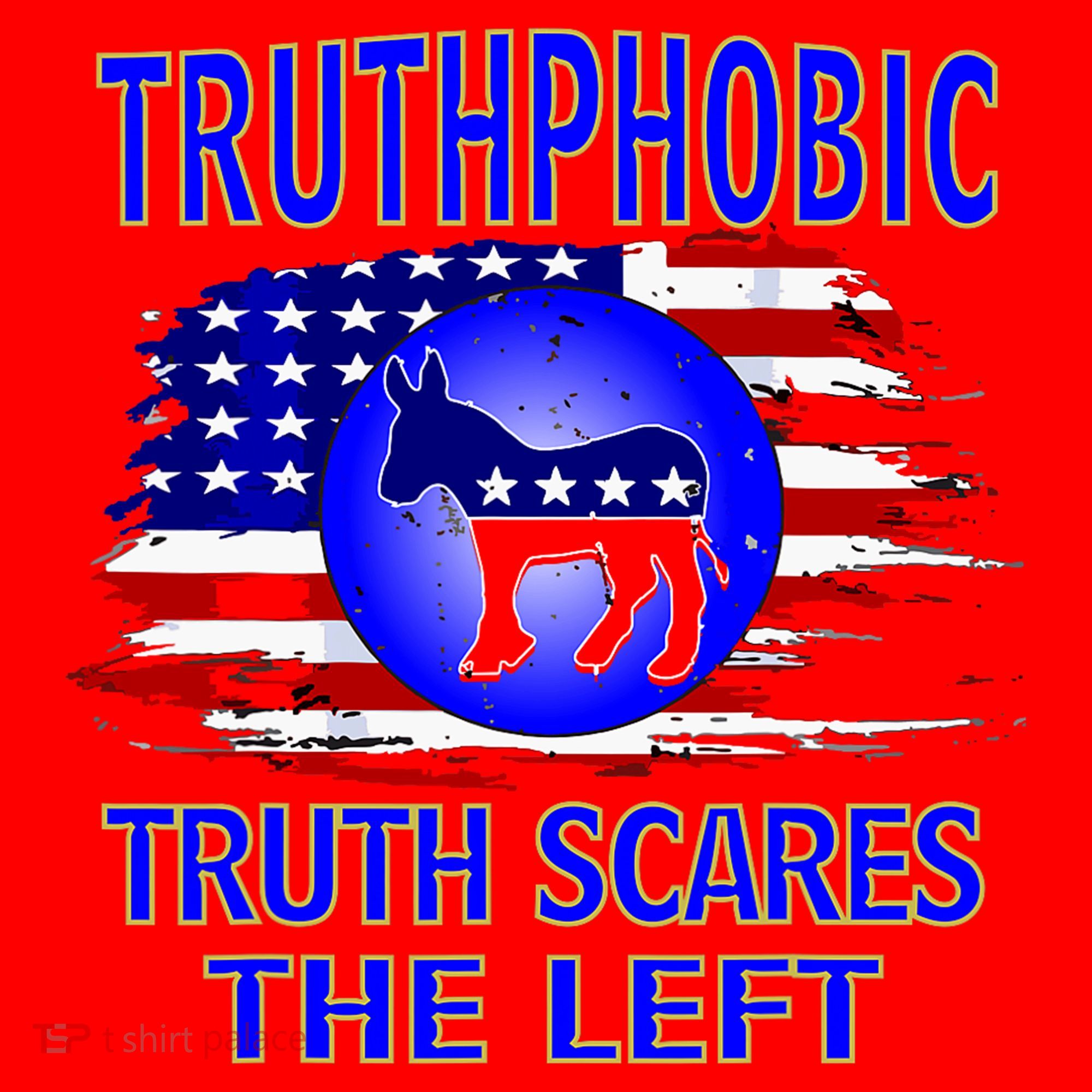 Truthphobic Left Wing Democrats Santa Hat